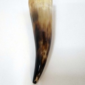 Small tan-black Steer Viking Drinking Horn 6.5-8 inches - Image 14