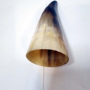 Small tan-black Steer Viking Drinking Horn 6.5-8 inches - Image 15