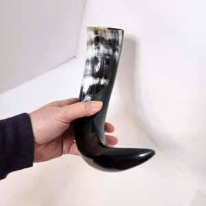 Steer horn 12 inch average  - Viking Drinking Horn - Image 8