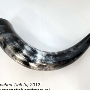 Steer horn 12 inch average  - Viking Drinking Horn - Image 11