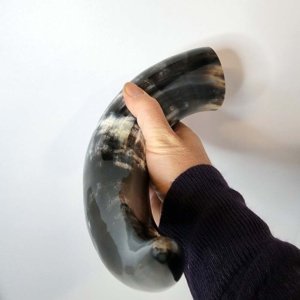 Steer horn 12 inch average  - Viking Drinking Horn - Image 16
