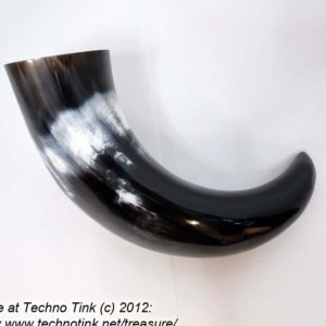 Steer horn 12 inch average  - Viking Drinking Horn - Image 19