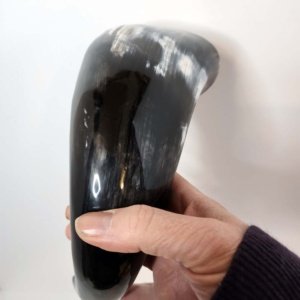 Steer horn 12 inch average  - Viking Drinking Horn - Image 20