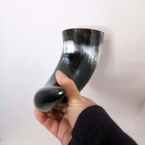 Steer horn 12 inch average  - Viking Drinking Horn - Image 23