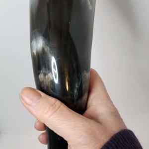 Steer horn 12 inch average  - Viking Drinking Horn - Image 27