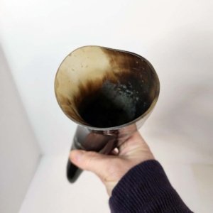 Steer horn 12 inch average  - Viking Drinking Horn - Image 29