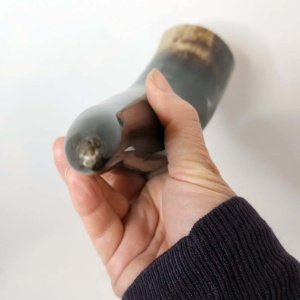 Steer horn 12 inch average  - Viking Drinking Horn - Image 30