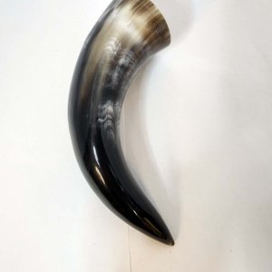 Pirate - Medieval - Viking Drinking Horn Steer 7-9 Inch  (HR100-S) - Image 4