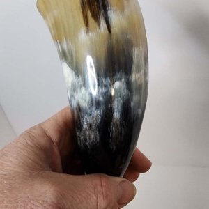 Pirate - Medieval - Viking Drinking Horn Steer 7-9 Inch  (HR100-S) - Image 13