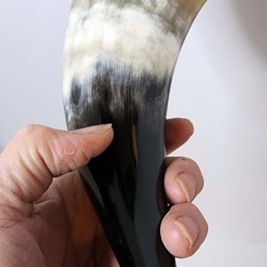 Pirate - Medieval - Viking Drinking Horn Steer 7-9 Inch  (HR100-S) - Image 14