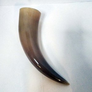 Buffalo Pirate - Medieval - Viking Drinking Horn average 10 inch (HR100-10T) - Image 3