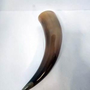 Buffalo Pirate - Medieval - Viking Drinking Horn average 10 inch (HR100-10T) - Image 4