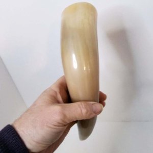 Buffalo Pirate - Medieval - Viking Drinking Horn average 10 inch (HR100-10T) - Image 5