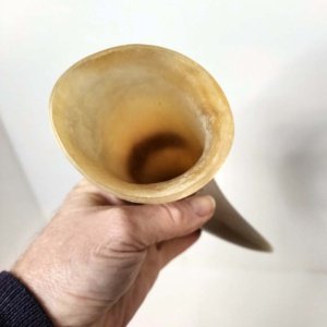 Buffalo Pirate - Medieval - Viking Drinking Horn average 10 inch (HR100-10T) - Image 8
