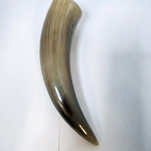 Buffalo Pirate - Medieval - Viking Drinking Horn average 10 inch (HR100-10T) - Image 11