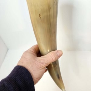 Buffalo Pirate - Medieval - Viking Drinking Horn average 10 inch (HR100-10T) - Image 13