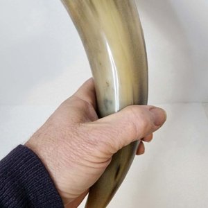 Buffalo Pirate - Medieval - Viking Drinking Horn average 10 inch (HR100-10T) - Image 14