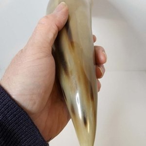 Buffalo Pirate - Medieval - Viking Drinking Horn average 10 inch (HR100-10T) - Image 15