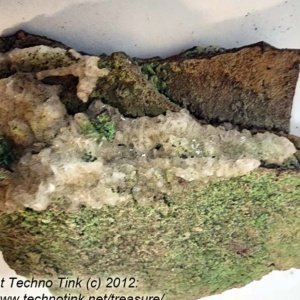 Medium Conichalcite Crystal Matrix 4.5x4x1 from Mexico - Image 9