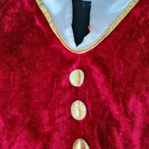 Used Red velvet style Toddler's Polyester Pirate style Sleeveless shirt - Image 8