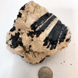 Black Tourmaline Crystals, Medium in feldspar and quartz base #0054 -- 4" x 3" x 3" - Image 4