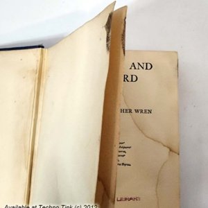 The Snake And The Sword by Percival Christopher Wren 1926 - Rare Hardcover - Image 8