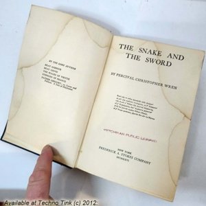 The Snake And The Sword by Percival Christopher Wren 1926 - Rare Hardcover - Image 10