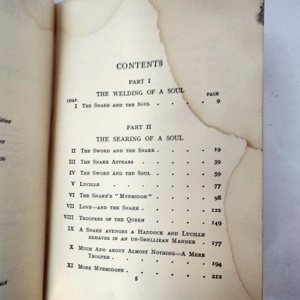 The Snake And The Sword by Percival Christopher Wren 1926 - Rare Hardcover - Image 14