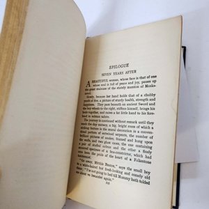 The Snake And The Sword by Percival Christopher Wren 1926 - Rare Hardcover - Image 18