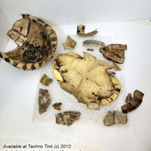 Fractured Turtle Shell pieces 9" x 7" x 4" - Image 10