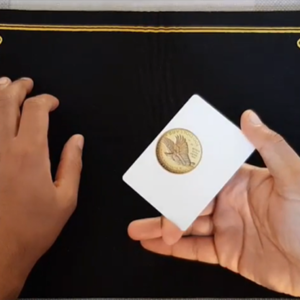 3 COIN MONTE (Gimmicks and Online Instructions) by Vinny Sagoo - Image 4