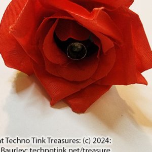 Torch to Rose Trick (FT) - Image 7