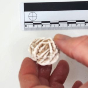 Small Desert Rose Gypsum Crystal 1x1 - Image 5