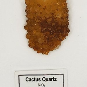 yellow-orange Medium Cactus Quartz Crystal 1.5x1x1 Magalesberg Groblensdaal RSA - Image 3