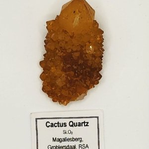 yellow-orange Medium Cactus Quartz Crystal 1.5x1x1 Magalesberg Groblensdaal RSA - Image 7