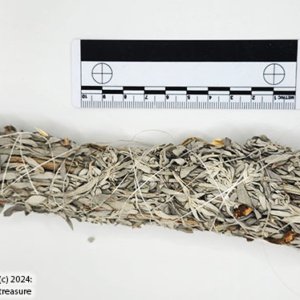 Eastern Washington Sagebrush Smudge Stick 8-9" - Image 3