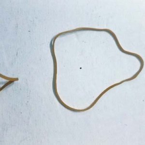 Gold Rubberbands (sizes #14, 16,19) - Image 10