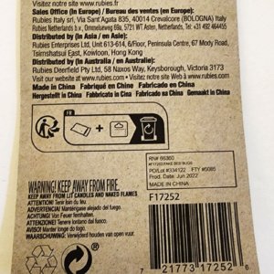 Fake Bed Bugs - Image 4