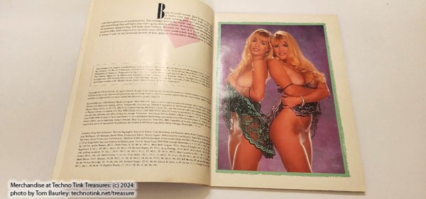 Playboy's Book of Lingerie: Secrets of Sexy Intimate Wear January/February 1993 - Image 9