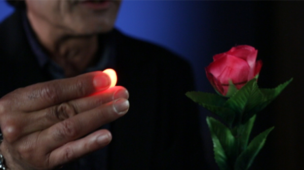 Rocco's Prisma Lites SOUND Red - Image 12