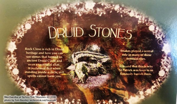 Druid Stones Postcard from Blarney Castle - Image 3