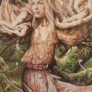 Jim Colorex Les chant  des arbres postcard : Ogham Series 2007 - Image 3