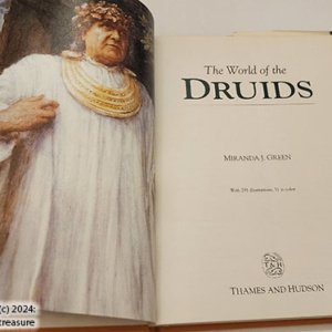 The World of the Druids by Miranda J. Green (Hardcover, 1997) - Image 16