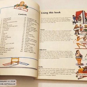 Beginner's Irish Dictionary by Helen Davies et al - Image 6