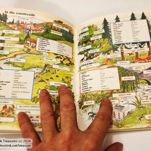 Beginner's Irish Dictionary by Helen Davies et al - Image 7
