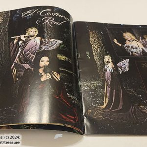 FAE Faeries & Enchantment Magazine - AUTUMN 2010 - Image 6