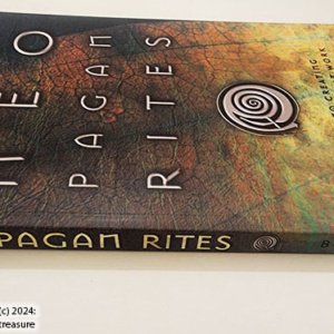 Neo Pagan Rites : A Guide to Creating Public Rituals That Work by Isaac Bonewits (paperback) - Image 3