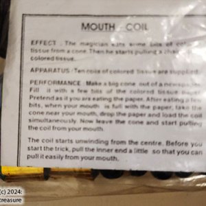 25' Mouth Coil Glitter Uday, set of 10 - Image 4