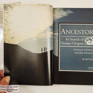 Ancestors In Search of Human Origins by Donald & Lenora Johanson et al (hardcover) - Image 8