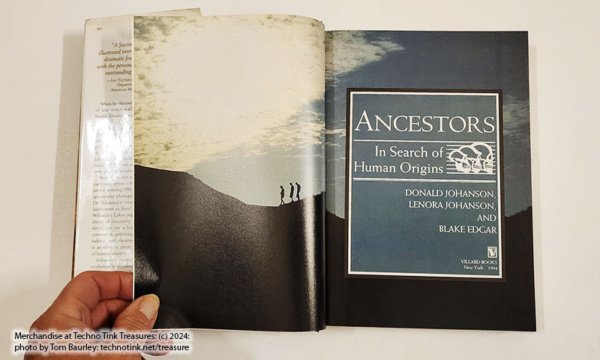Ancestors In Search of Human Origins by Donald & Lenora Johanson et al (hardcover) - Image 8